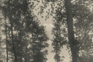 13e