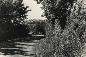 29a