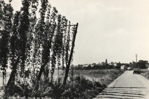 29c