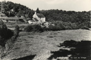 29d